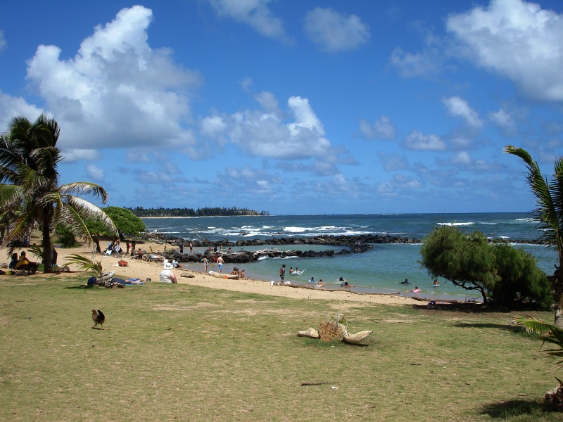  Kauai 005 Lydgate Beach